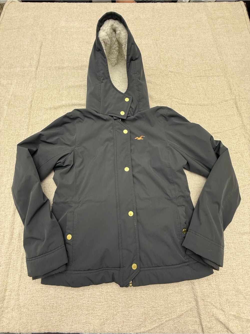 Hollister Charcoal Hooded Jacket with Gold Accents